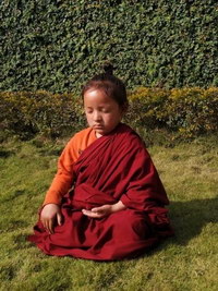 Jangsi Tenga Rinpocze