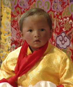 Nowa inkarnacja - Jangsi Tenga Rinpocze